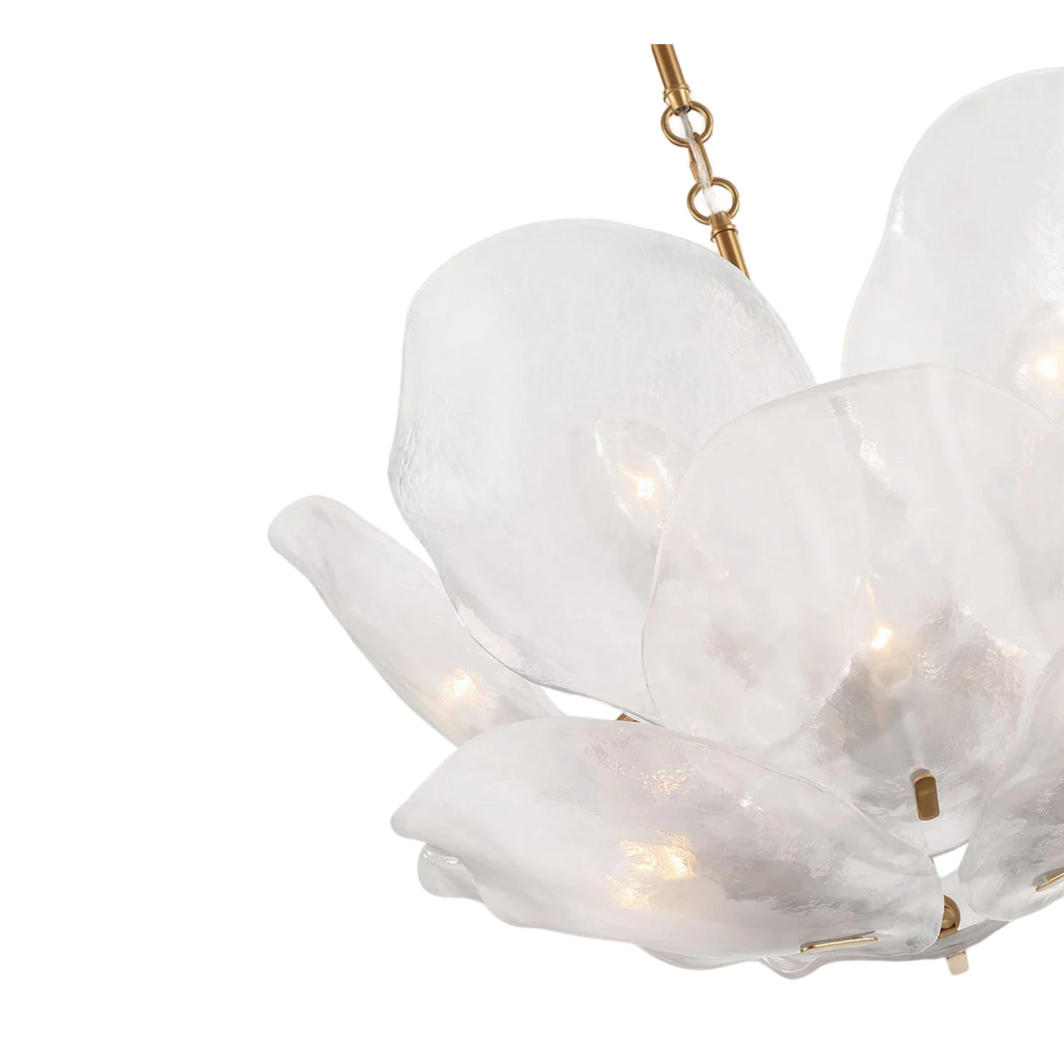 CORATO 12-LIGHT CHANDELIER 6 CORATO 12-LIGHT CHANDELIER - Image 6