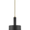 CEDRIC 13-INCH TWO LIGHT PENDANT