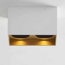 EXO DUAL CEILING 21 EXO DUAL CEILING -Robinson Sale Store 700FMEXOD620WG LED927 APP1DET2