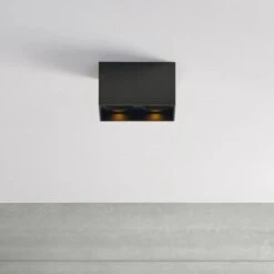 EXO DUAL CEILING 25 EXO DUAL CEILING -Robinson Sale Store 700FMExoD620BB LED927 APP1