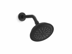 ARTIFACTS® SINGLE-FUNCTION SHOWERHEAD, 1.75 GPM -Robinson Sale Store 72774 G BL