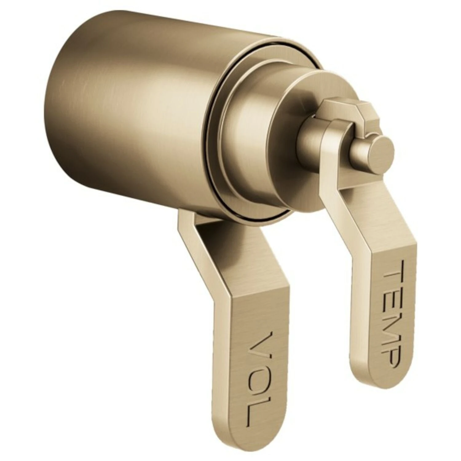 LITZE® TEMPASSURE® THERMOSTATIC TRIM HANDLE KIT - INDUSTRIAL LEVER 1 LITZE® TEMPASSURE® THERMOSTATIC TRIM HANDLE KIT - INDUSTRIAL LEVER