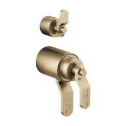 LITZE® TEMPASSURE® THERMOSTATIC VALVE WITH DIVERTER TRIM HANDLE KIT - INDUSTRIAL LEVER