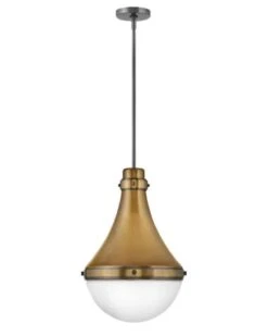 OLIVER 14-INCH MEDIUM ONE LIGHT PENDANT -Robinson Sale Store HinkleyCanada39054HB 39054HB