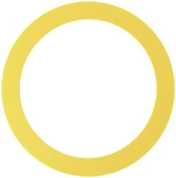 TOILET CANISTER REPLACEMENT SEAL