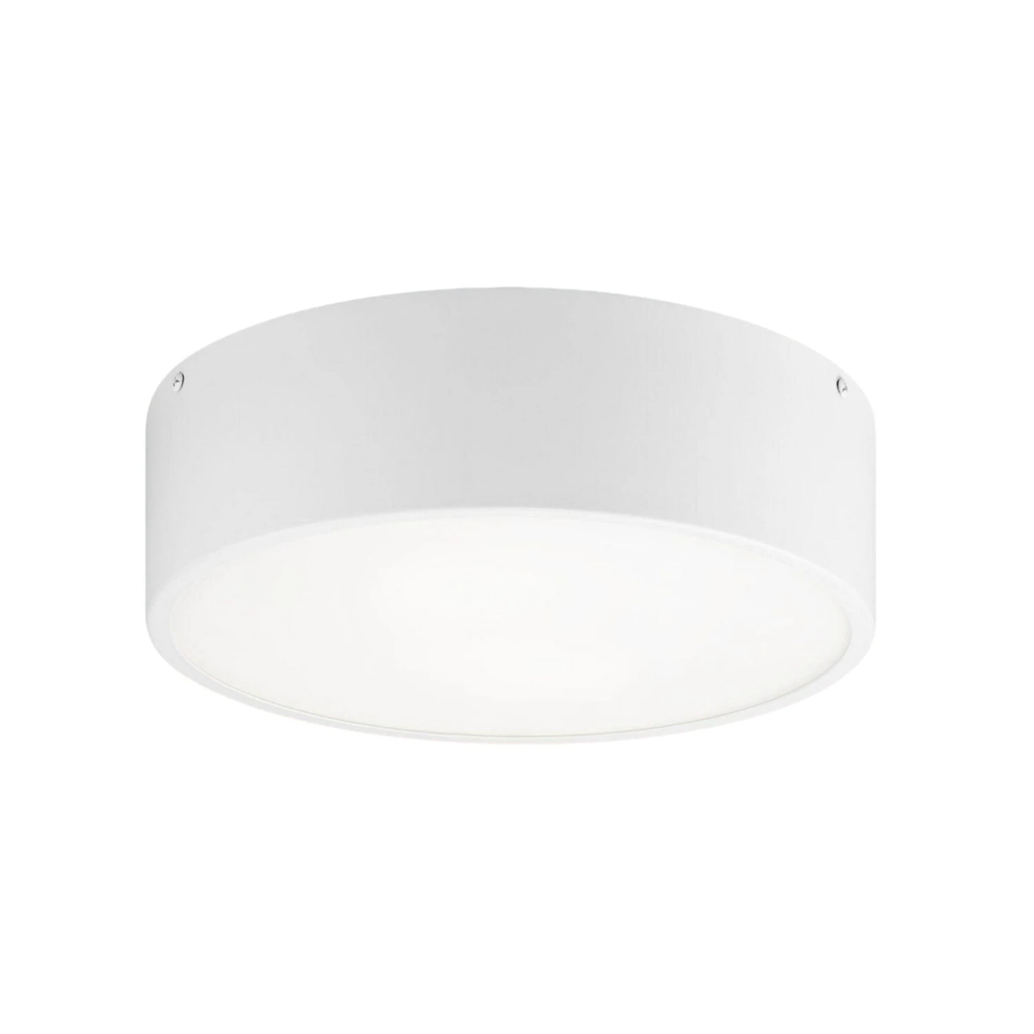 SNARE 12" 2 LIGHT FLUSH MOUNT 1 SNARE 12" 2 LIGHT FLUSH MOUNT