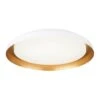 VIENO 16.5" LED CEILING FLUSH MOUNT