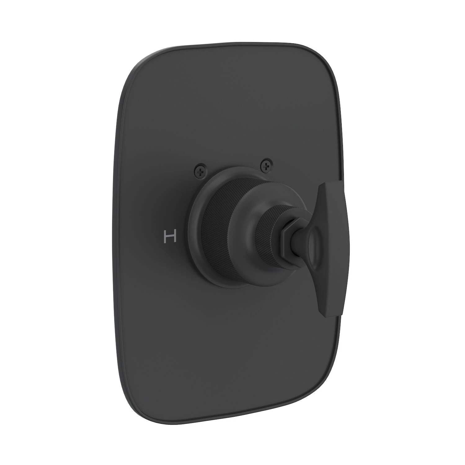 GRACELINE® 3/4" THERMOSTATIC TRIM WITHOUT VOLUME CONTROL 2 GRACELINE® 3/4" THERMOSTATIC TRIM WITHOUT VOLUME CONTROL - Image 2