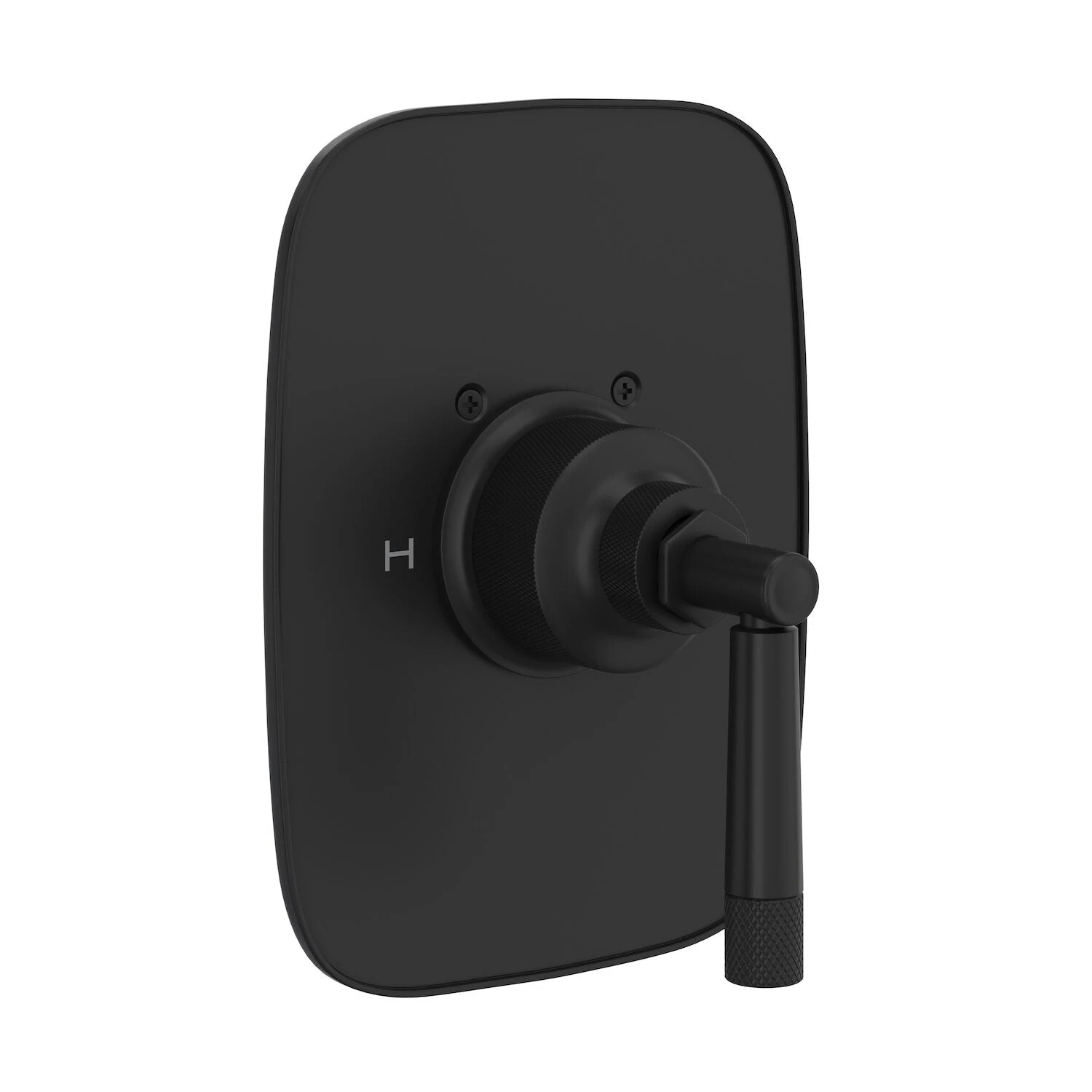 GRACELINE® 3/4" THERMOSTATIC TRIM WITHOUT VOLUME CONTROL (LEVER HANDLE) 2 GRACELINE® 3/4" THERMOSTATIC TRIM WITHOUT VOLUME CONTROL (LEVER HANDLE) - Image 2