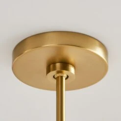 ELSAY CHANDELIER (MULTIPLE SIZES) 30 ELSAY CHANDELIER (MULTIPLE SIZES) -Robinson Sale Store VCSD DJS DJC1246SB SO RD4 ON