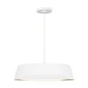 ASHER 19-INCH 5 LIGHT PENDANT